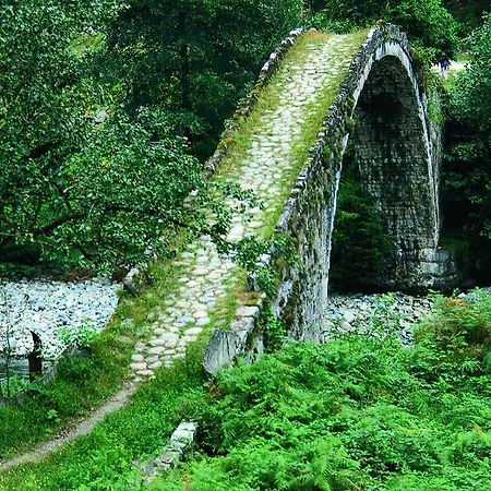 Dedeman Rize